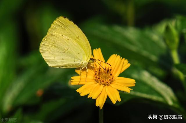 孩子的快乐很简单的经典句子 孩子的快乐很简单的经典句子