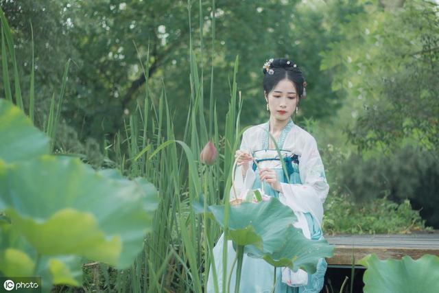 赞美荷花的句子短句 赞美荷花的句子短句