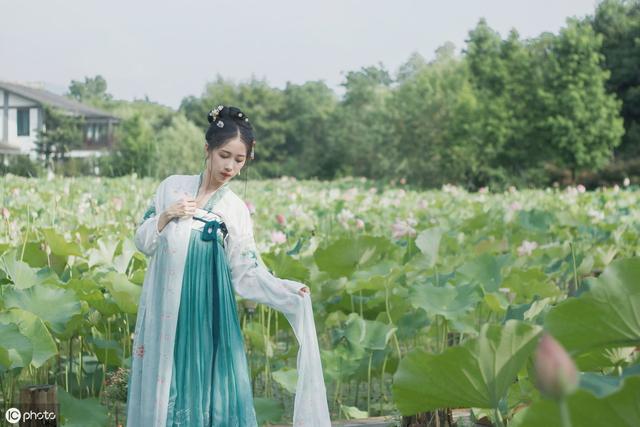 赞美荷花的句子短句 赞美荷花的句子短句