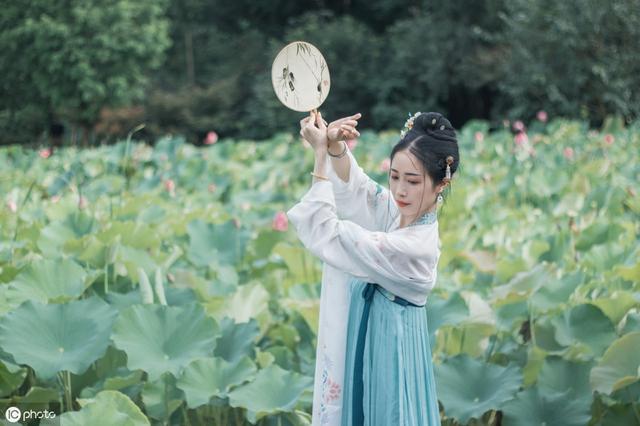 赞美荷花的句子短句 赞美荷花的句子短句