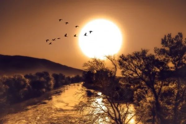 赞美老师的排比句大全,关于排比句好词好句-句子橘 赞美老师的排比句大全,关于排比句好词好句-句子橘