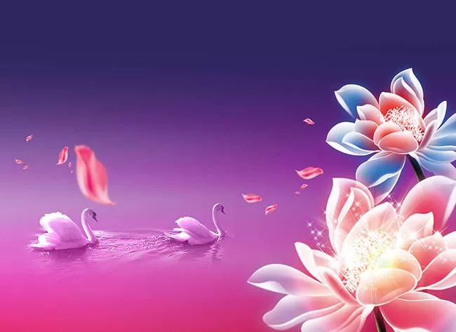 句句入心晚安句子人生哲理说说经典语句-句子橘 句句入心晚安句子人生哲理说说经典语句-句子橘