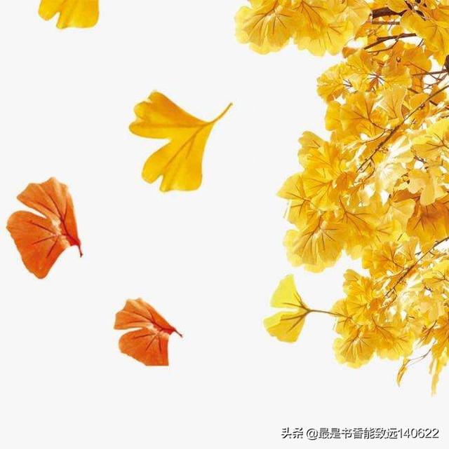 秋天的赞美句子比喻 秋天的赞美句子比喻