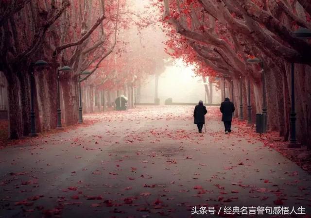 赞美百善孝为先励志句子 赞美百善孝为先励志句子