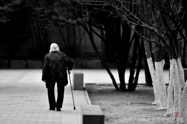 赞美百善孝为先励志句子 赞美百善孝为先励志句子