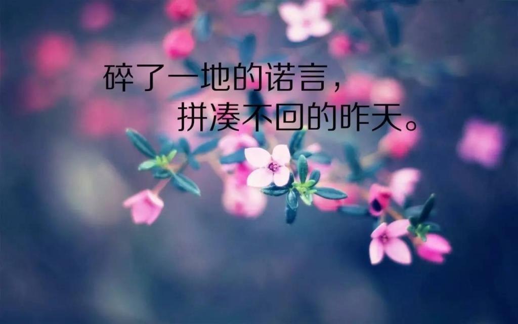 赞美别人的句子唯美【夸人的话简短精辟】