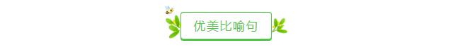 赞美一个人的句子和词语 赞美一个人的句子和词语