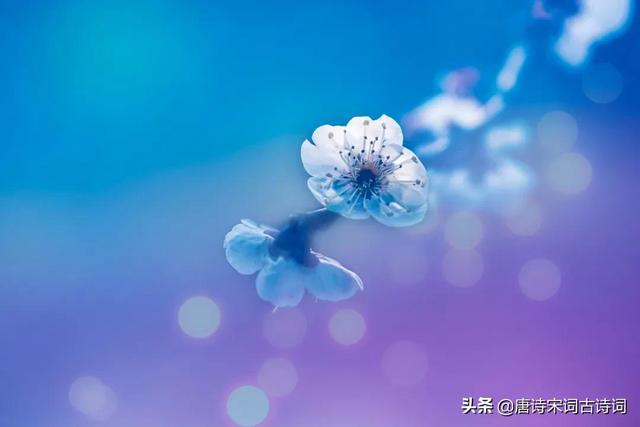赞美朋友的句子或诗句两句就好 赞美朋友的句子或诗句两句就好