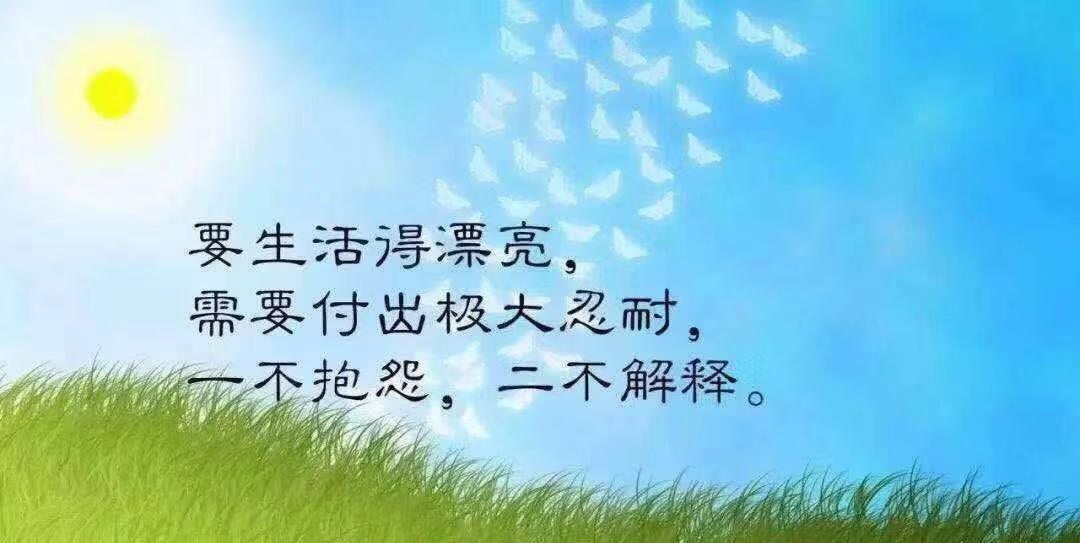 赞美人优秀的句子经典语录_(赞美别人的话简短精辟)