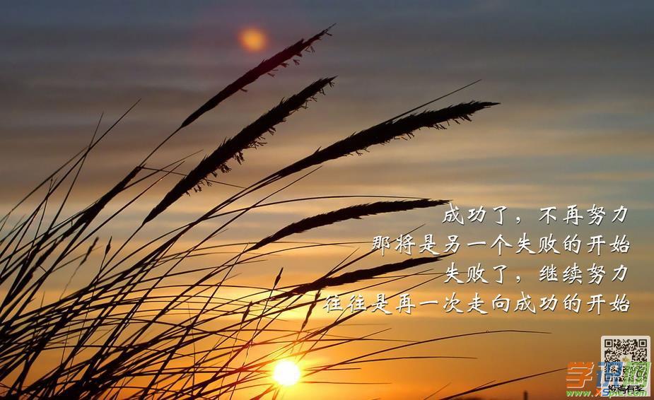 赞美励志的人句子大全【励志的句子经典优美语句摘抄】