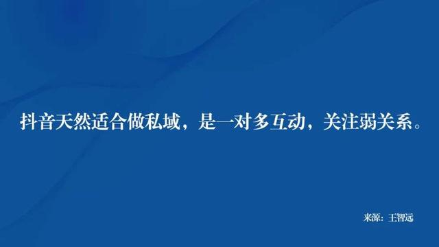 描写斑马的美文美句