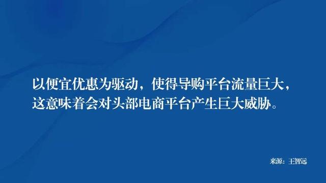 描写斑马的美文美句