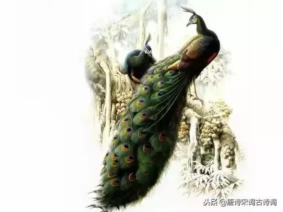 让你振奋一整年的励志诗词名句,收藏一下吧