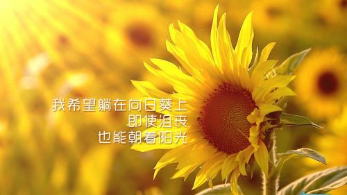 励志有上进心的正能量短文200(励志短文200字)