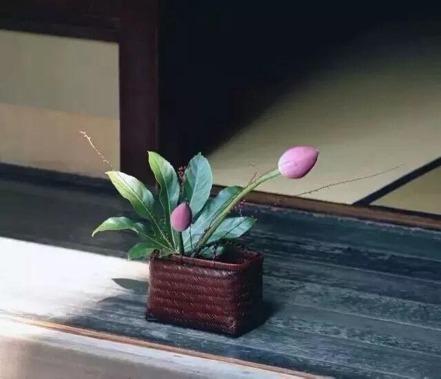 中秋感恩父母的句子经典