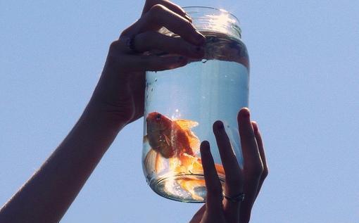 充满正能量的英文句子带翻译 抖音最火励志英文句子合集