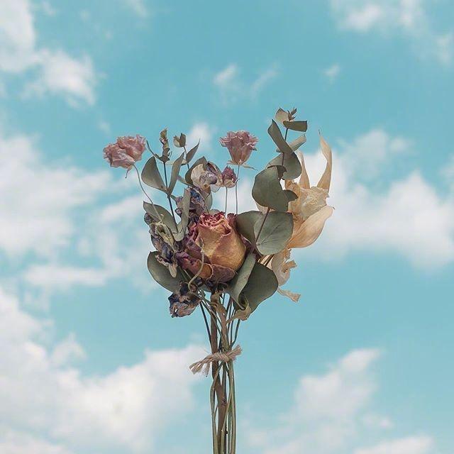 早安心语正能量语录句子,阳光向上,激励人心