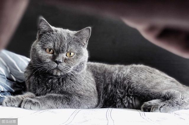 高情商早安朋友圈语录，高情商早安问候语大全