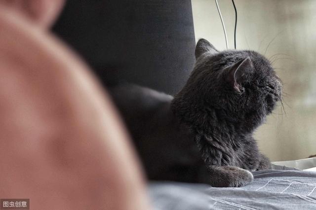 高情商早安朋友圈语录，高情商早安问候语大全