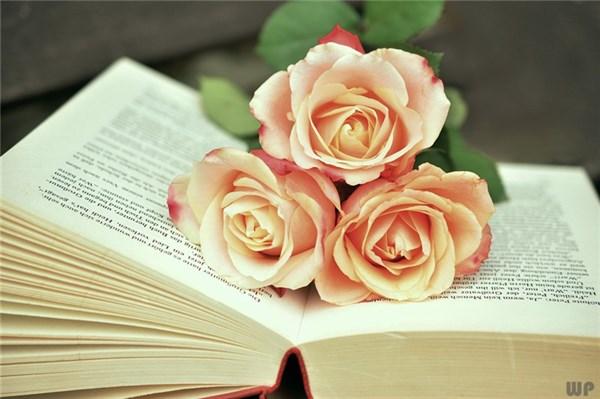 励志好听的句子，追梦路上，最美的姿态是奔跑