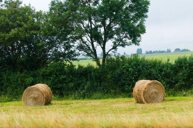 2019高考励志语录，句句简短霸气