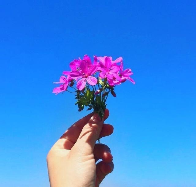 朋友圈最励志的一句话，阳光向上，满满正能量