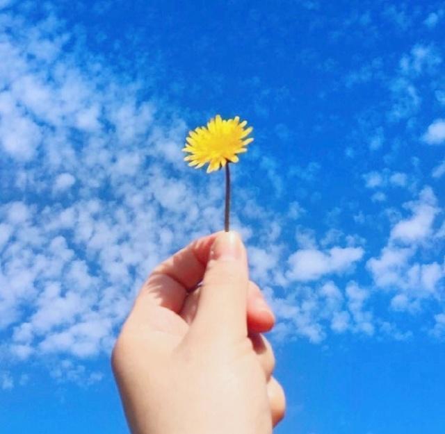 朋友圈最励志的一句话，阳光向上，满满正能量