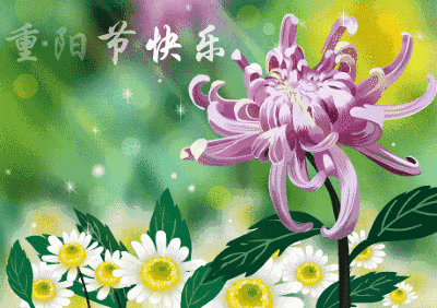 重阳节感恩父母的句子图片