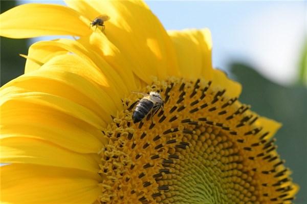 积极向上正能量的励志句子,句句振奋人心