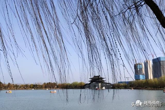 （快收藏）50条党史学习教育金句和提纲来了