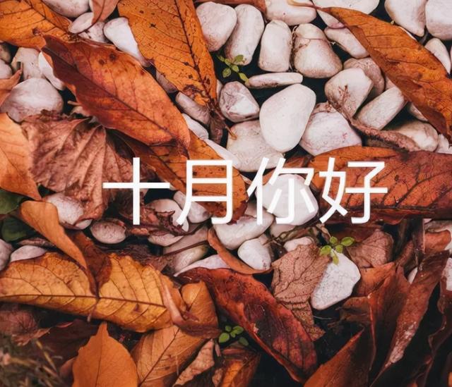 2021感恩父母的句子
