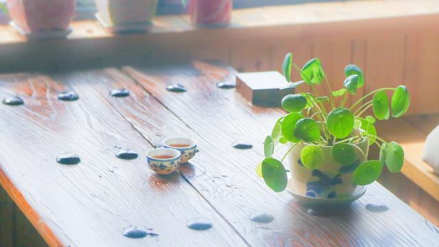 感恩父母的句子诗经一年级简短