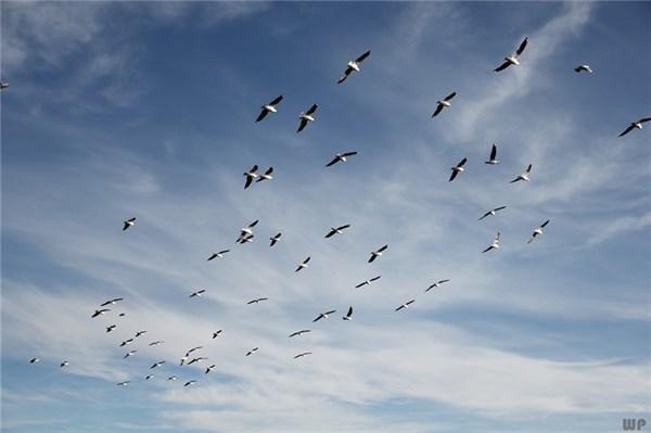 送给自己的励志句子，学会懂得感恩；放下自私，努力奋斗