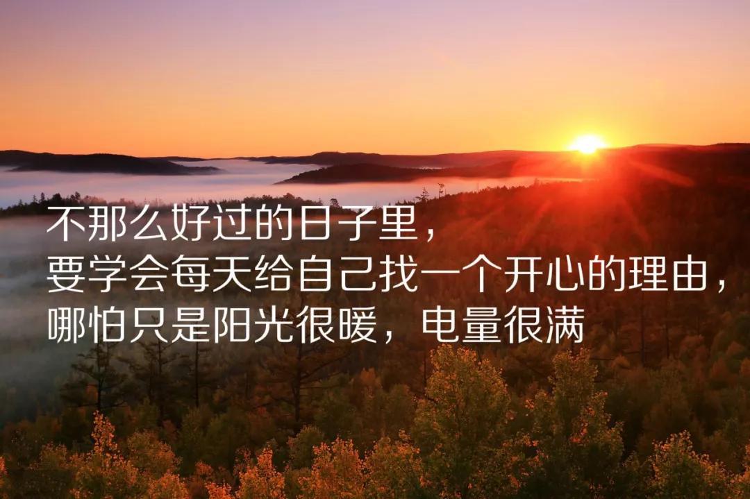 励志的句子致小学生简短(鼓励高三学生拼搏的话)