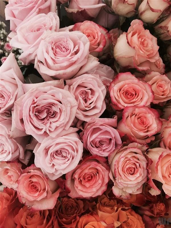 30条青春励志语录，直戳心窝，总有几句适合你的心情！