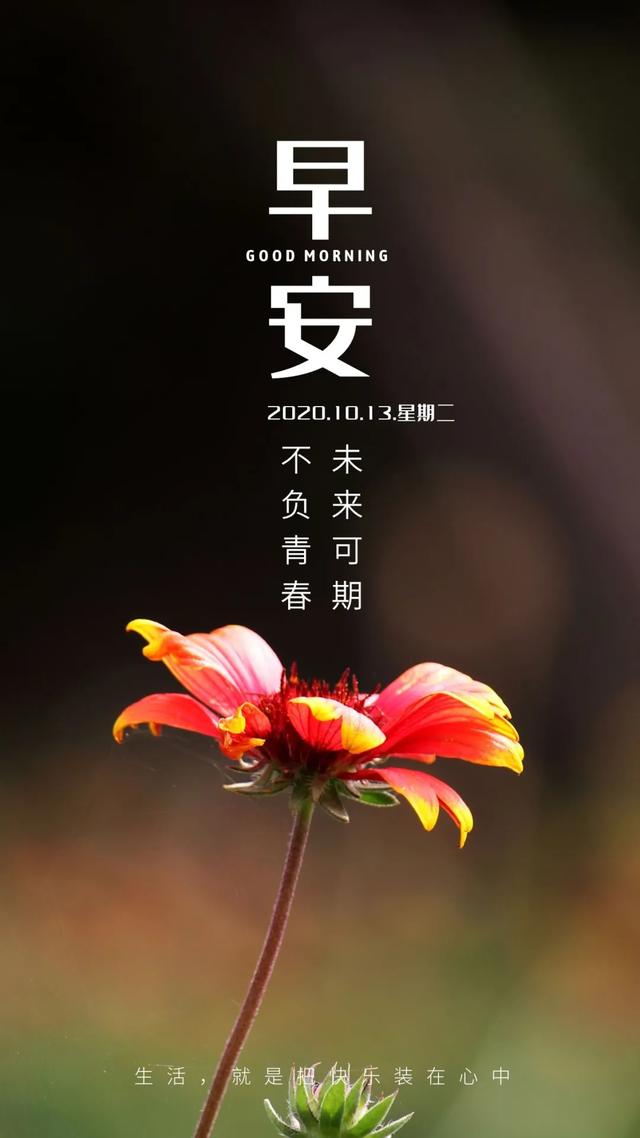 激励自己努力奋斗的句子图片 激励自己努力奋斗的句子图片
