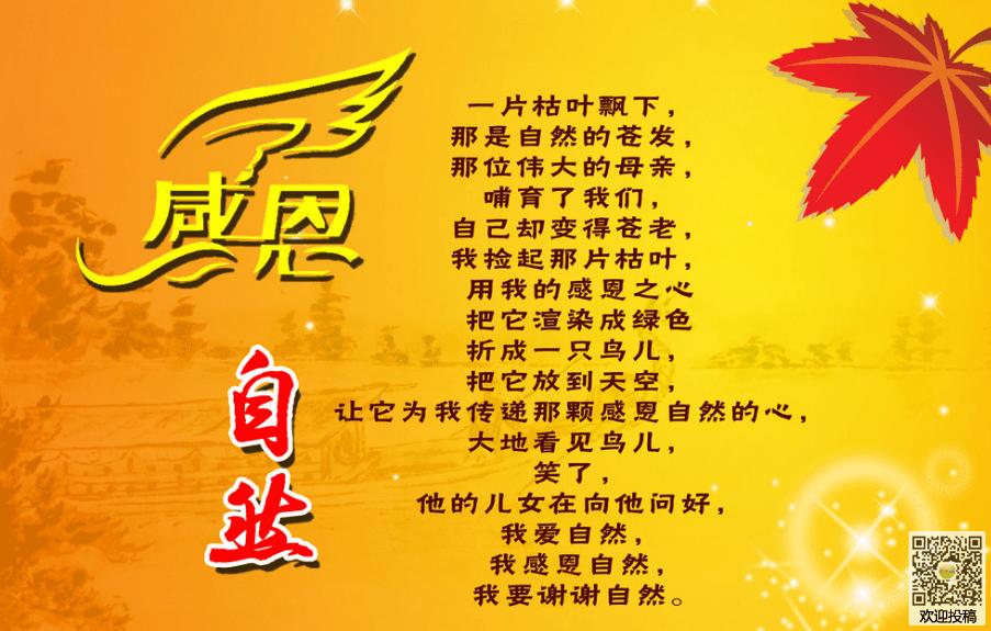 表达感恩父母的句子大全【感恩父母的图片】