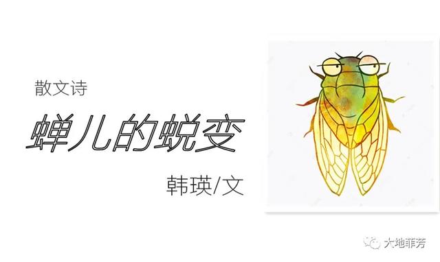 散文诗（二）||蝉儿的蜕变