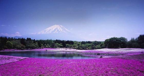 50篇精美演讲稿作文稿开头，让你的演讲更加精彩！