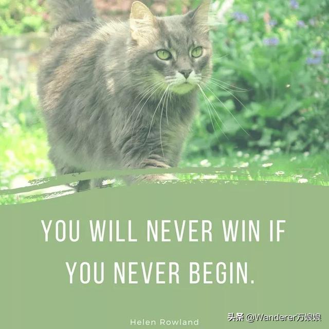 15句经典最励志英语句子，总有一句激励着你加油前行，看完请收藏