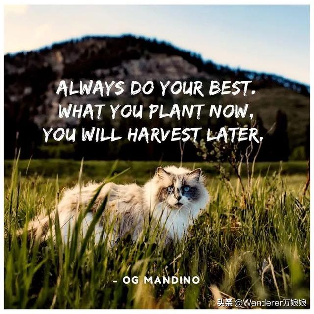 15句经典最励志英语句子，总有一句激励着你加油前行，看完请收藏