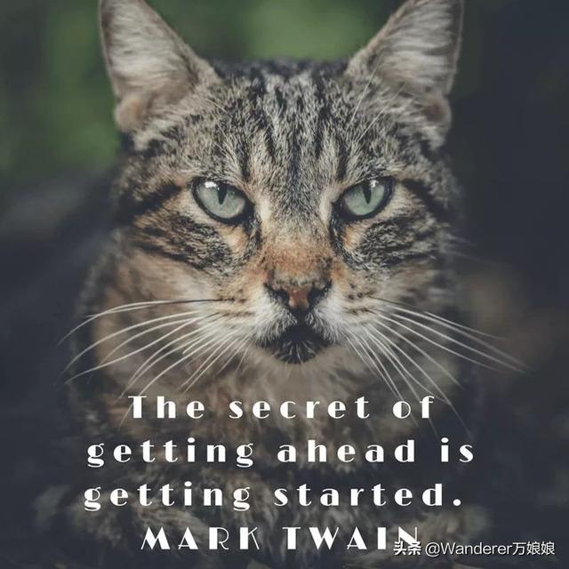 15句经典最励志英语句子，总有一句激励着你加油前行，看完请收藏