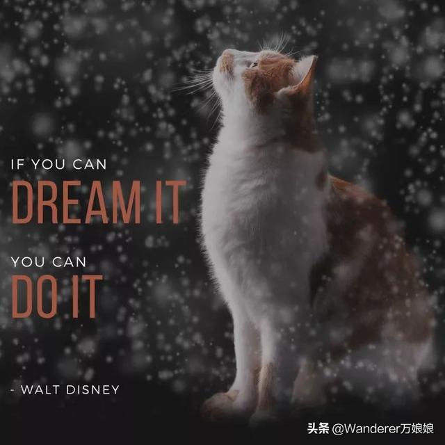 15句经典最励志英语句子，总有一句激励着你加油前行，看完请收藏