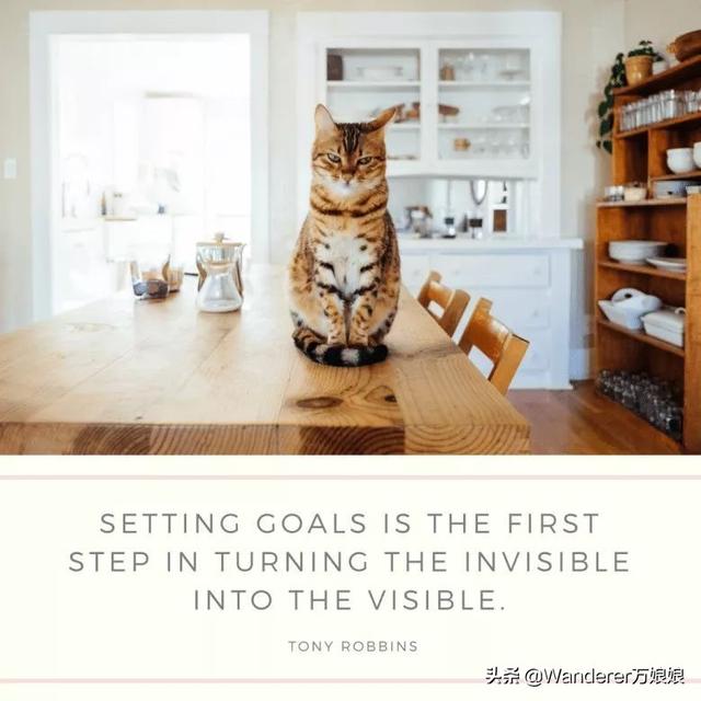 15句经典最励志英语句子，总有一句激励着你加油前行，看完请收藏