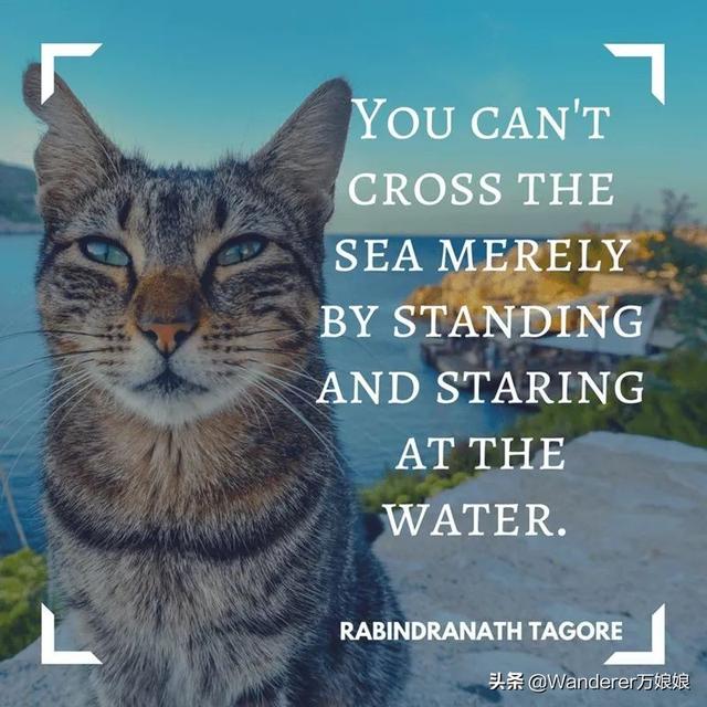 15句经典最励志英语句子，总有一句激励着你加油前行，看完请收藏