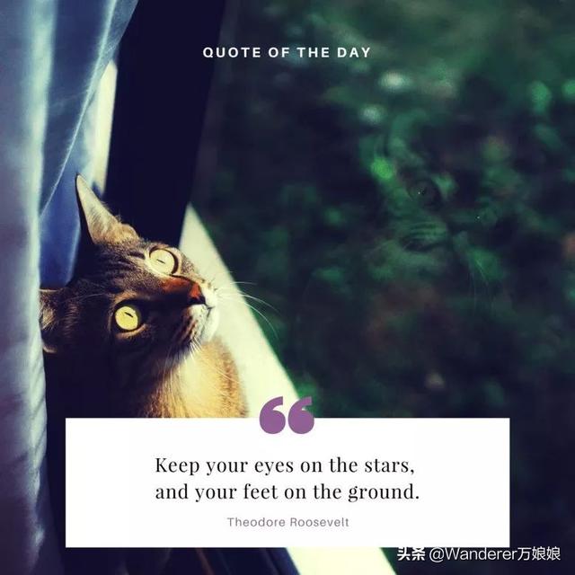 15句经典最励志英语句子，总有一句激励着你加油前行，看完请收藏