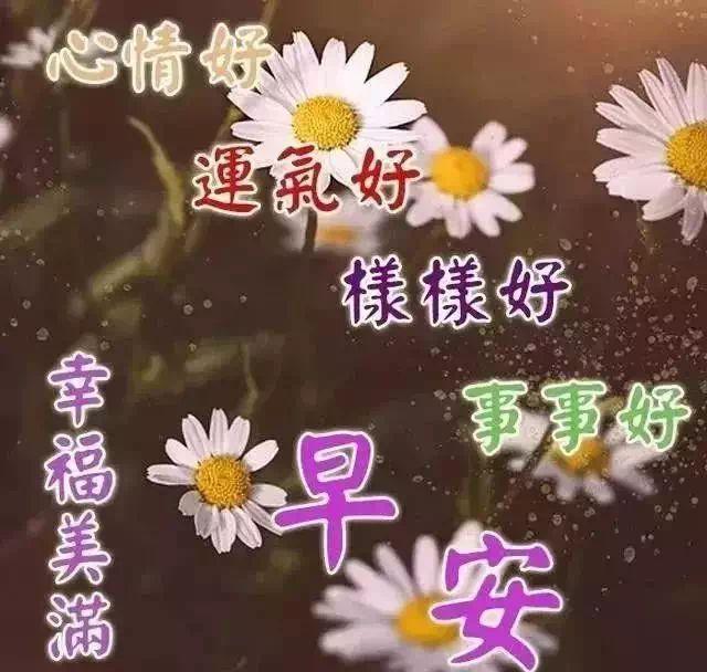 周末最新励志心灵鸡汤经典语录短句,找个喜欢的句子发个朋友圈吧