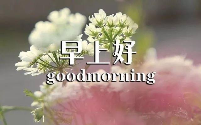 周末最新励志心灵鸡汤经典语录短句,找个喜欢的句子发个朋友圈吧