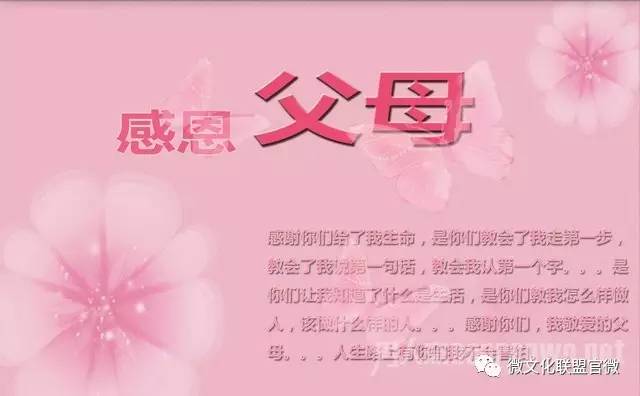 关于有关感恩父母的句子大全的信息
