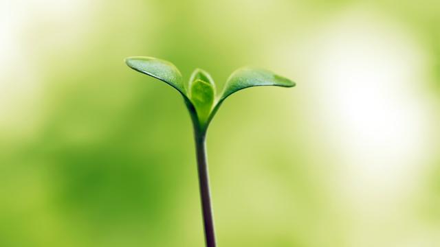 青春阳光励志长句子，经典温馨，点赞超高